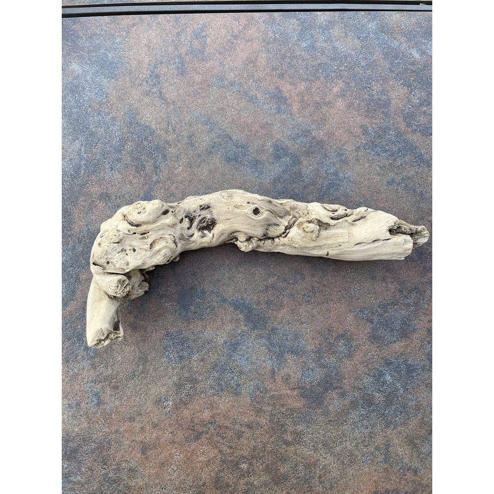 Natural Driftwood for Plants Terrarium Taxidermy Art Projects